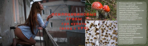 дживик Майский