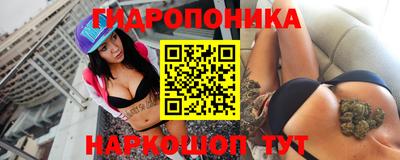 шишки Балахна