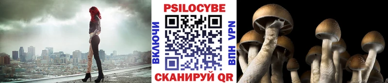 Псилоцибиновые грибы прущие грибы  Советская Гавань 